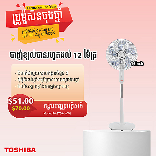 Toshiba Electric  Fan (16